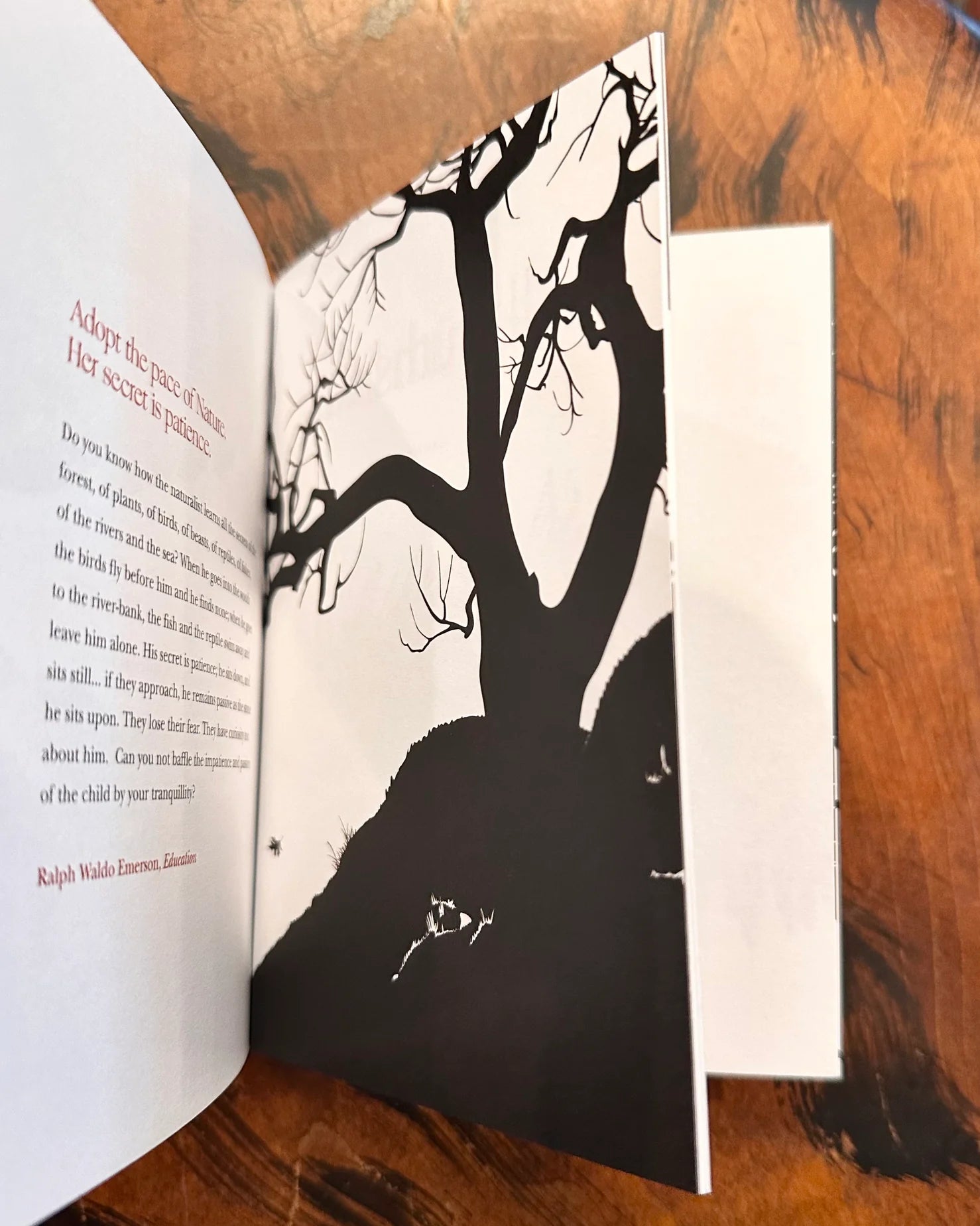 Nature Book Bundle