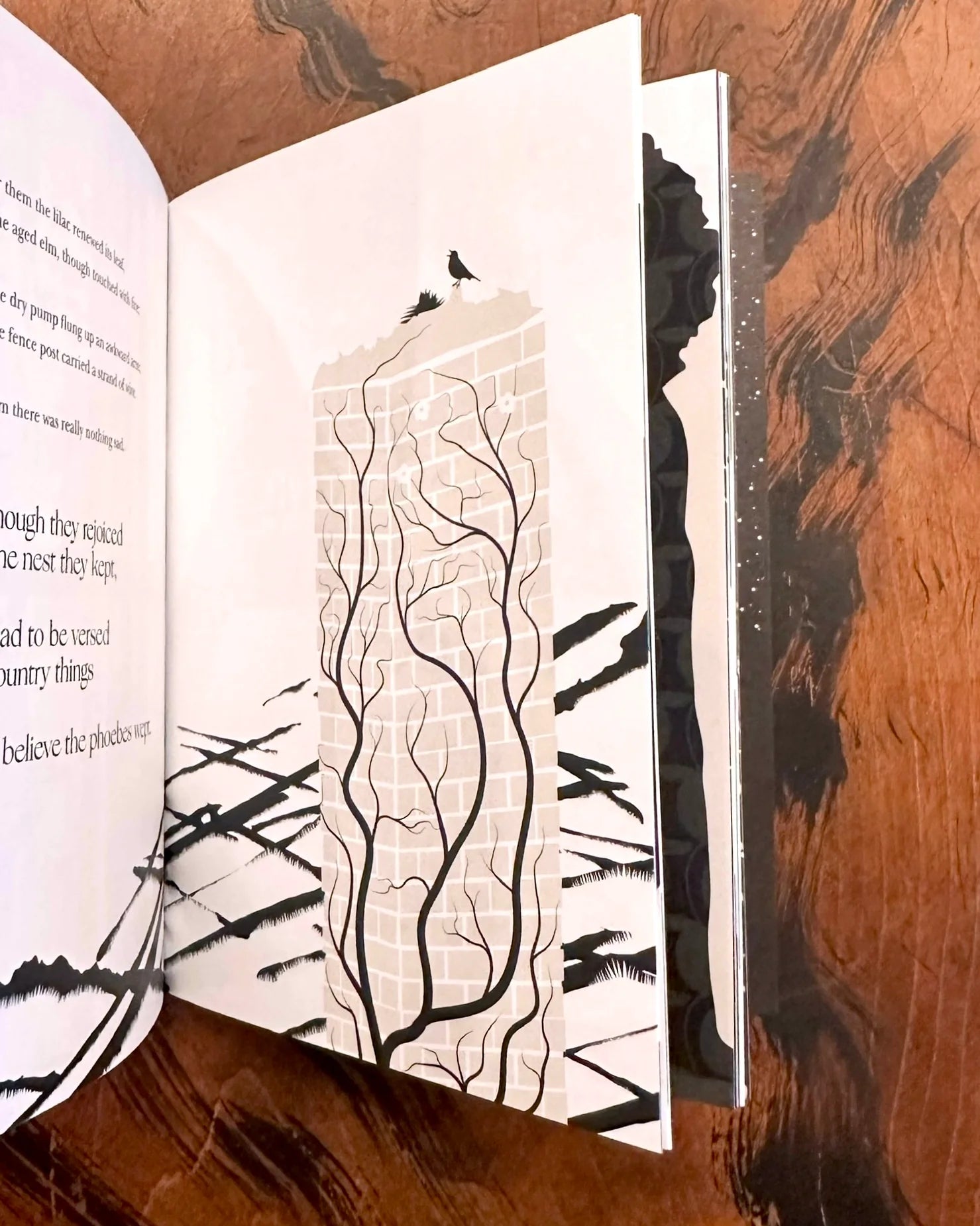 Nature Book Bundle