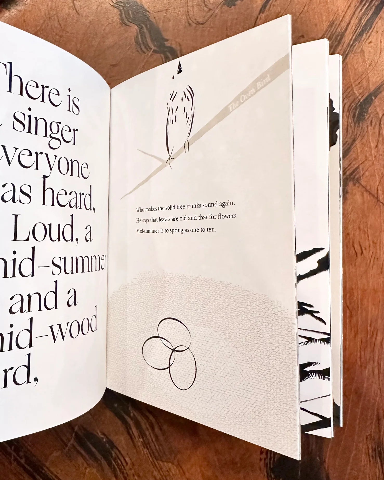 Nature Book Bundle