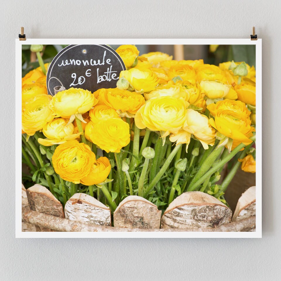 Paris Photography, Yellow Ranunculus Paris Print, Large Art Print Fine Art Photography, Yellow Wall Art for College Student Gift