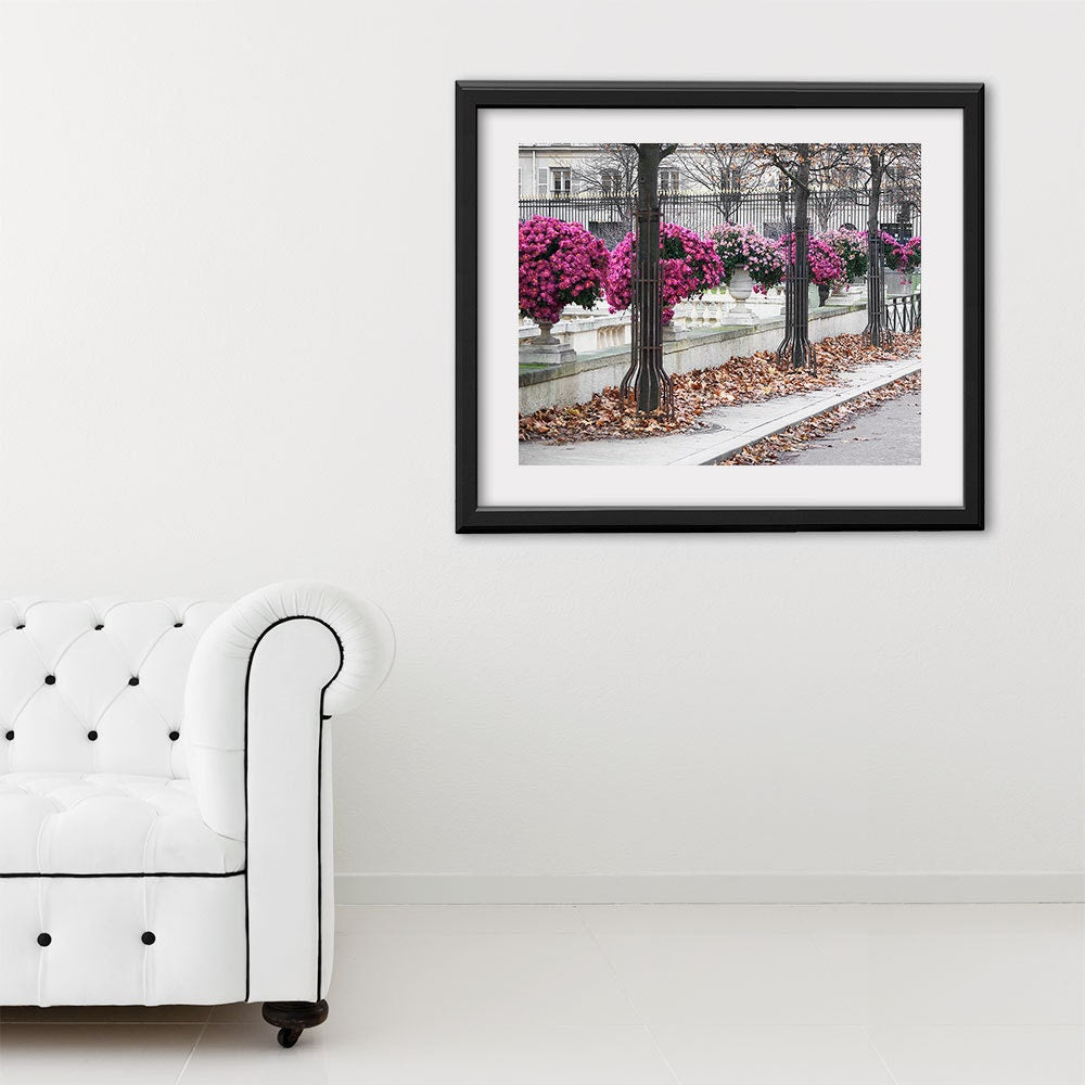 Paris Photography, Pink Mums Paris Print, Large Art Print Fine Art Photography, Gift for Her